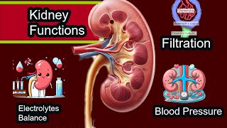 Kidney Tests Mastering Kidney Health Tests Kidney Functions [upl. by Nallad]