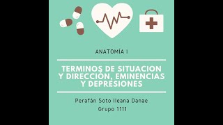 Términos de situación y dirección Eminencias y depresiones  Anatomía Veterinaria I 👩🏻‍⚕️✨ [upl. by Kelvin]