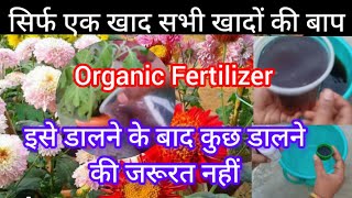 Humic Acid fertilizer Humic Acid for Plants ह्यूमिक एसिड के फायदे Humic Acid kaise use kare [upl. by Skip772]