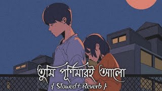 Tumi Purnimari Alo  Bangla 1 SlowedReverb [upl. by Anelav]