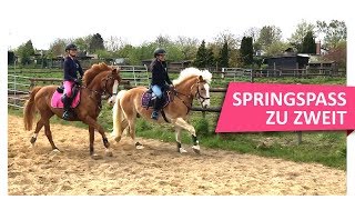 ON TOUR bei Majas Vlogs ⭐️ Mega Spaß ⭐️ beim Springen 🐎 [upl. by Amii600]