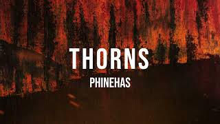 Phinehas  Thorns Instrumental Cover [upl. by Iznyl789]