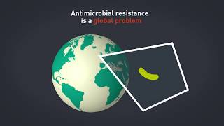 Antimicrobial Resistance AMR research at the Quadram Institute [upl. by Monto]