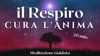 Respiro Curativo  Meditazione Guidata [upl. by Anaujit]