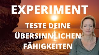 INTUITION EXPERIMENT  Teste Deine Wahrnehmung [upl. by Bamby]