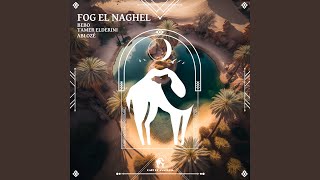 Fog El Naghel [upl. by Meggie]