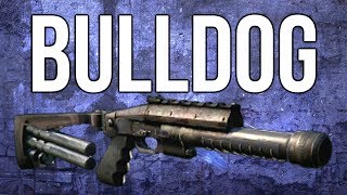 Ghosts In Depth  Bulldog Shotgun Review amp Best Class [upl. by Swope]