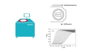 Introduction to Analytical Ultracentrifugation AUC 101 [upl. by Bendicty838]