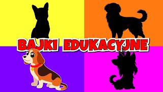 Filmy edukacyjne po polsku  Pieski  Bajki dla dzieci [upl. by Enyledam]