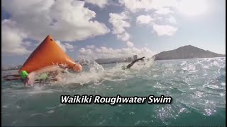 Waikiki Roughwater Swim  24 Miles of the Pacific Await [upl. by Minton440]