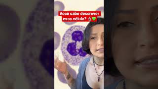 Neutrofilo Ainda confunde Bora descrever 🔬💚 biomedicina biologia análisesclínicas hematologia [upl. by Moth]