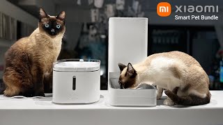 Xiaomi Smart Pet  TECNOLOGIA para CÃES e GATOS [upl. by Eirb]