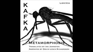 1915 The Metamorphosis by Franz Kafka Complete full free audio book [upl. by Yacano]