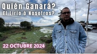 El Lirio Invade el Lago de Pátzcuaro Pero No Nos Rindimos Uranden listo para Noche de Muertos 2024 [upl. by Hplodur]