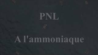 PNL  A lAmmoniaque INSTRUMENTAL remake sample [upl. by Enala191]