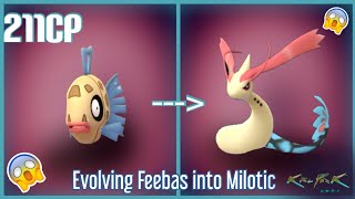 Evolving Feebas into Milotic  Pokemon GO [upl. by Novikoff]