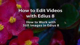 Edius 8 Tutorials  Lesson 9 How to Work with Still Images in Edius Pro 8 [upl. by Len666]