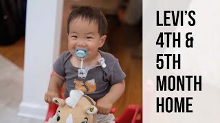 Korean Adoption Story  Episode 11  Levis 4th and 5th month post adoption  한국 입양 [upl. by Lundquist133]