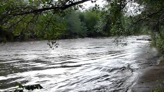 CRECIDA DEL RIO SANTA ROSA EN CALAMUCHITA [upl. by Aleunam]