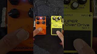 BOSS SD1 x Caline Orange Burst rock loucosporpedais bosssd1 sd1 caline orangeburst [upl. by Hansel569]