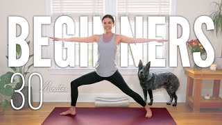 30Minute Yoga For Beginners  Start Yoga Here [upl. by Tewell529]