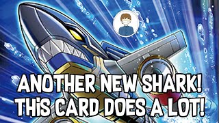 ANOTHER NEW SHARK THIS CARD DOES A LOT YuGiOh [upl. by Fidela]