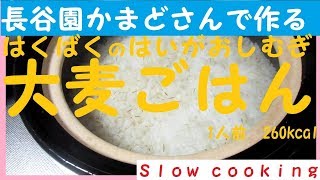 1人前260kcal 長谷園かまどさんで作る はくばくの胚芽押麦 大麦ごはん [upl. by Ilam645]