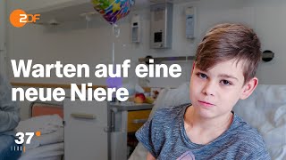 Organspende Eine neue Niere für Adrian I stark bei 37 Grad [upl. by Nalced]