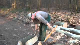 Bauernhaus Wustweiler Brennholz Meterstücke spalten mit Spalthammer [upl. by Lokim461]