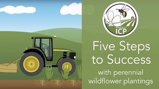 Five Steps to Success for Establishing Perennial Wildflower Plantings for Pollinators [upl. by Odraccir603]