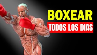 ✅ Qué Le Pasa A Tu Cuerpo Si Empiezas A Boxear Todos los Días  Beneficios de Boxear [upl. by Rothenberg]