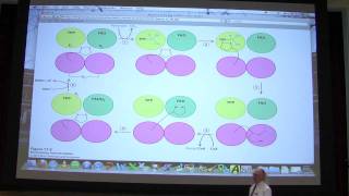 28 Biochemistry Citric Acid Cycle Lecture for Kevin Aherns BB 451551 [upl. by Hallam]