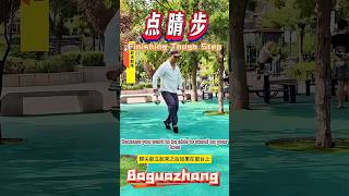 Ba Gua Zhang Basic Kung Fu The Finishing Touch Step Comes from Snitchs Stunts [upl. by Aztinaj]