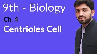 9th Class Biology  Chapter 4  Centrioles Cell [upl. by Collier]