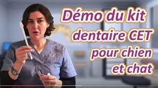 Démonstration du kit dentaire Virbac  CET pour chiens et chats [upl. by Chatav]