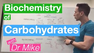 Carbohydrates  Biochemistry [upl. by Mick]