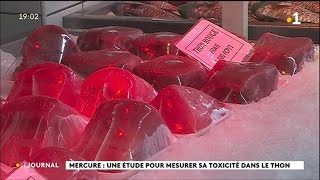 Mercure un médecin alerte sur les dangers liés aux poissons du large [upl. by Weihs]