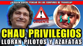 Milei le puso fin a los privilegios de la casta aeronáutica  ASN [upl. by Brittan]