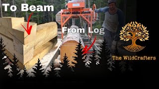 Buildig a Dovetail log cabin  One Man Milling the Beams [upl. by Siloa]