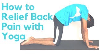 How to Relieve Back Pain with Yoga  Yoga for Back Pain  Yoga with Amit [upl. by Onin]