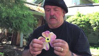 How To Making Metal Leaves Video 1BillyDillardArt [upl. by Cynthla]