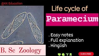 Life cycle of paramecium l BSc Zoology l Full Details l Explanation l kkeducationn [upl. by Normac528]