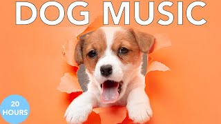 Relax My Dog Music Deep Separation Anxiety Music to Calm Dogs [upl. by Nonnag807]