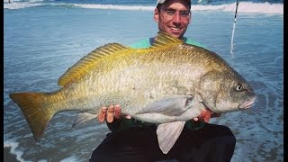 Surf and Jetty Fishing for Black Drum in NJ [upl. by Yenetruoc159]