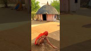 गाँव में कच्चे घरों का आँगन। village lifestyle rural love villagelife barmer rajasthan [upl. by Drwde]