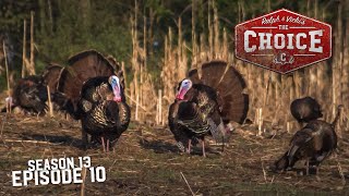 Illinois Eastern Turkeys  The Choice Full Episode  S13 Episode 10 [upl. by Waterman584]