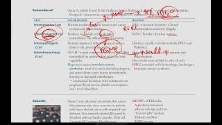 Escherichia coli  Microbiology  18  First Aid USMLE in UrduHindi [upl. by Acker916]