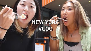 NEW YORK VLOG 13 ニューヨークって言えばチーズケーキㅣお仕事終わってからの旅行ㅣ일하러 가서 여행하는 댄서브이로그 [upl. by Desirae737]