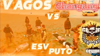 VAGOS 💛VS Changang❤️ Territory  Gang Fight  Full situation  Ceylon rp  GTA RP 🥵🔥 [upl. by Nodyarb]