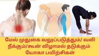 Upper back pain strength yoga கூன் விழுவதை தடுக்கும் யோகா By DrLakshmi Andiappan in Tamil [upl. by Ilohcin888]